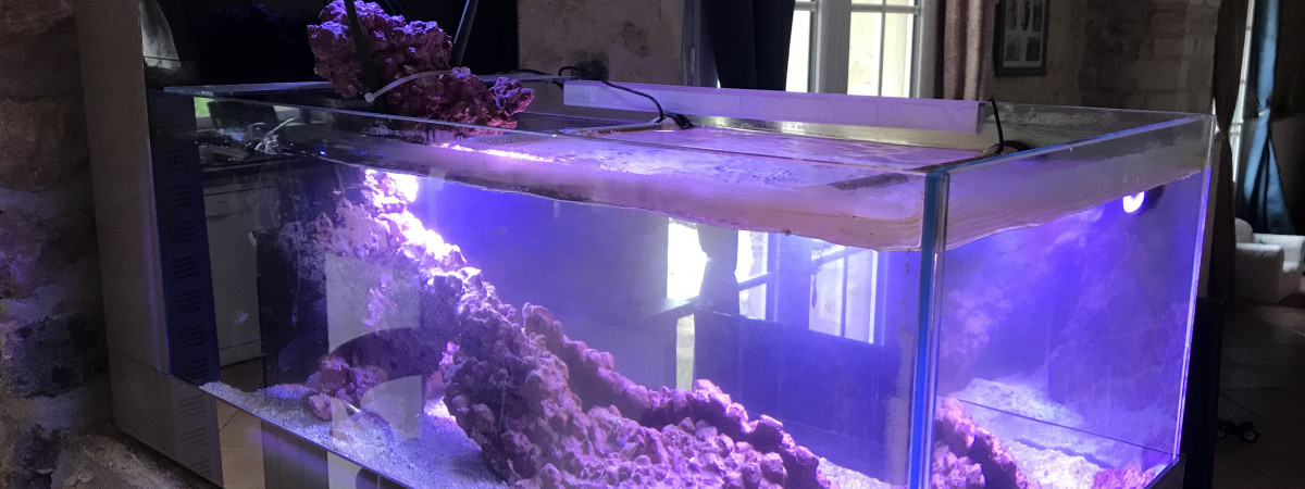 aquarium Number  1