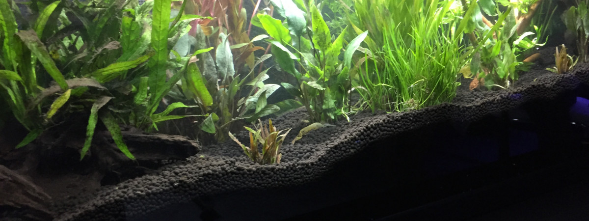 aquarium Dress