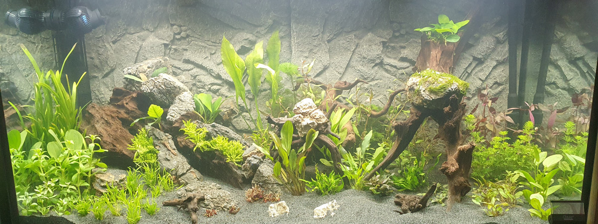 aquarium Second Aquarium