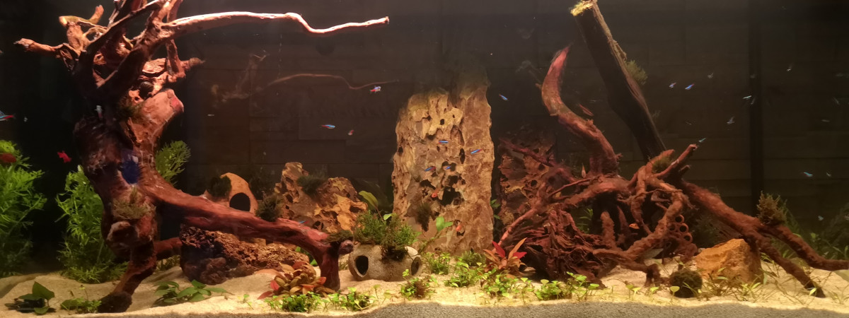 aquarium aquavelva