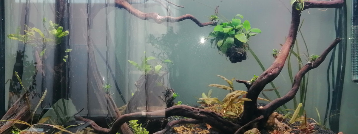 aquarium Ama240