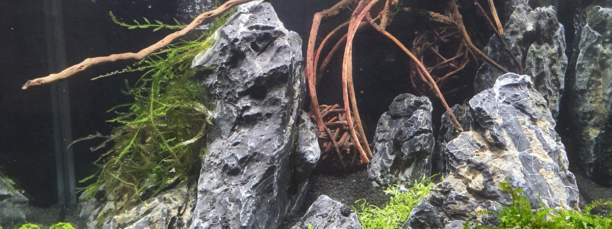 aquarium Sodewanai