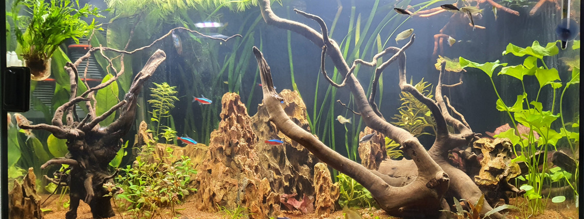 aquarium Le Monde Flottant