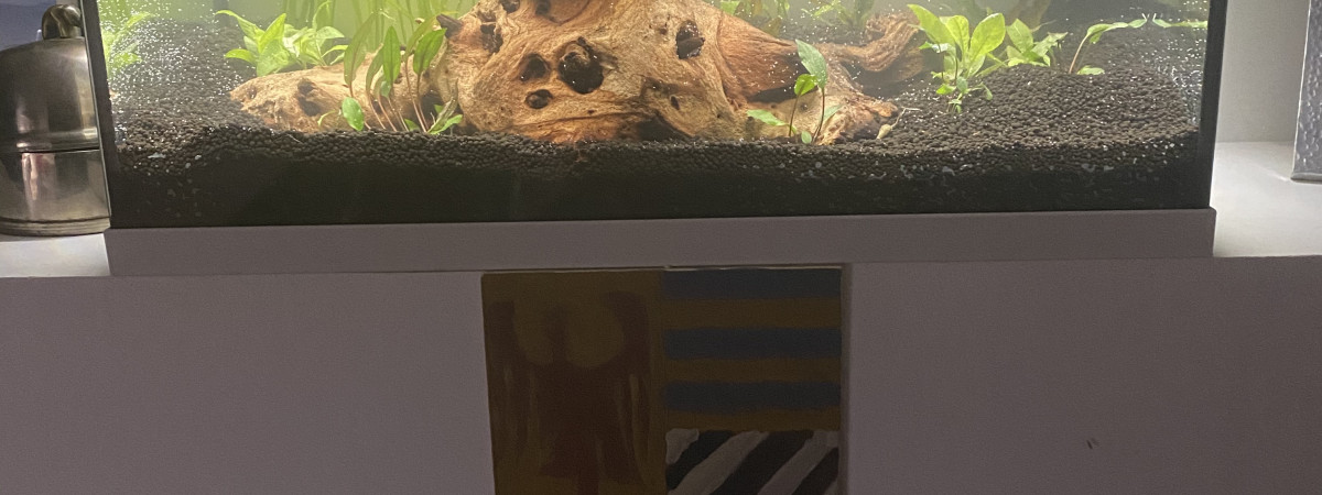 aquarium 70l