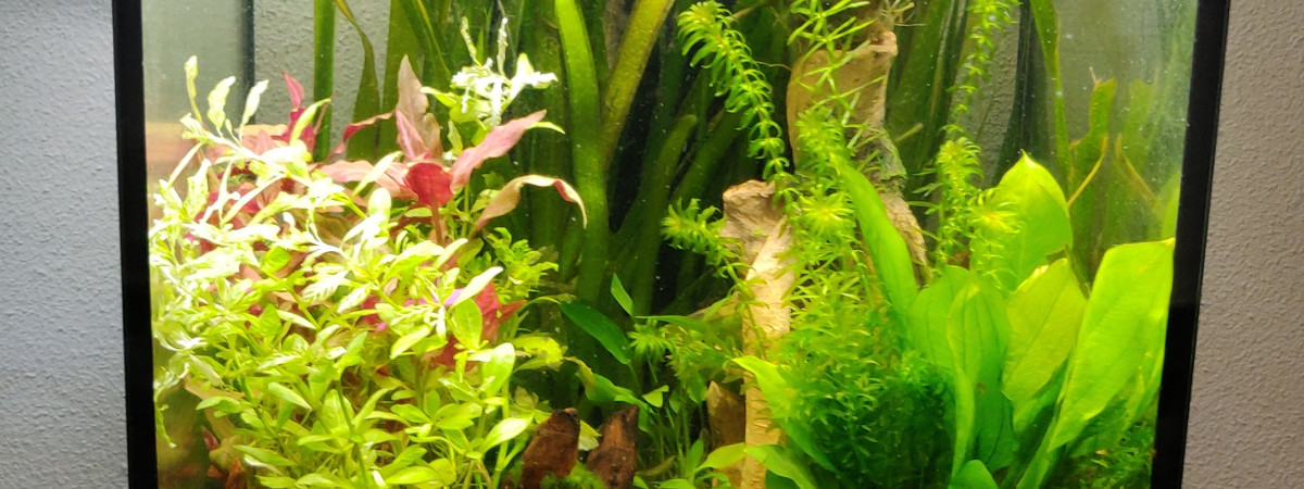 aquarium Aquarium 96 litres  40x40x60