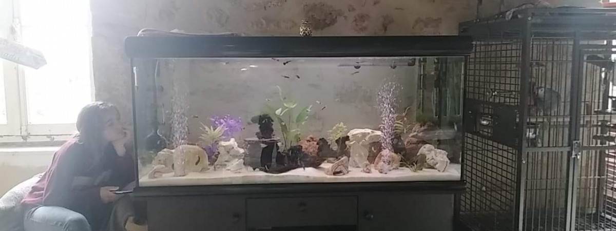 aquarium Général 500litres