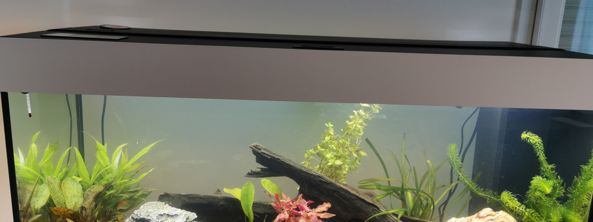 aquarium Juwel