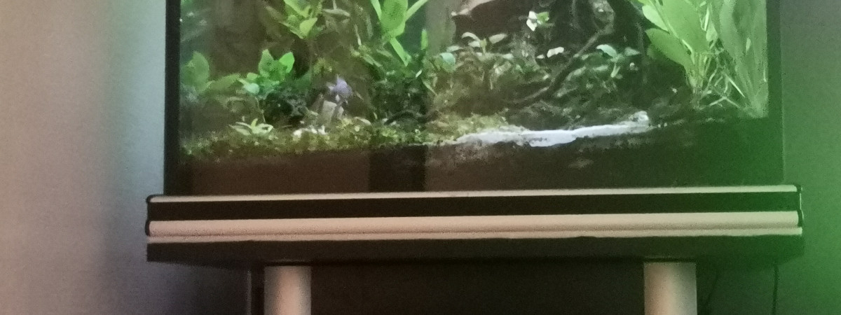 aquarium Ciotat