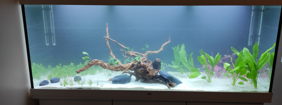 aquarium Juwel Rio 450 litres