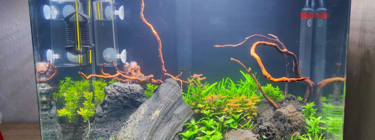 aquarium Aquascape 50 litres