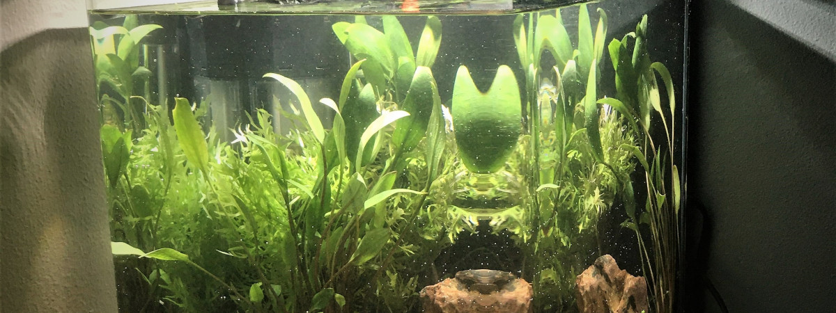 aquarium Nano 20 L N1