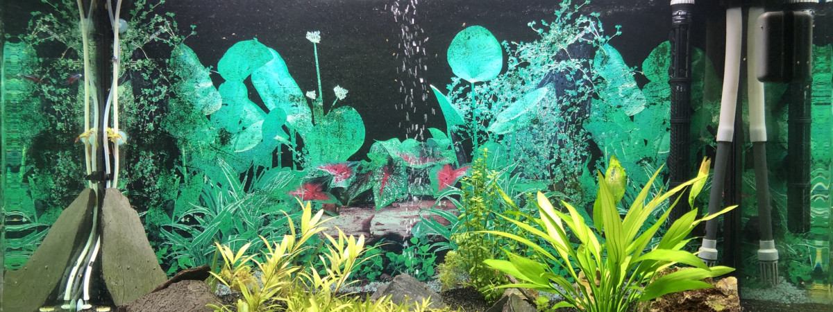 aquarium Fluval Osaka 260