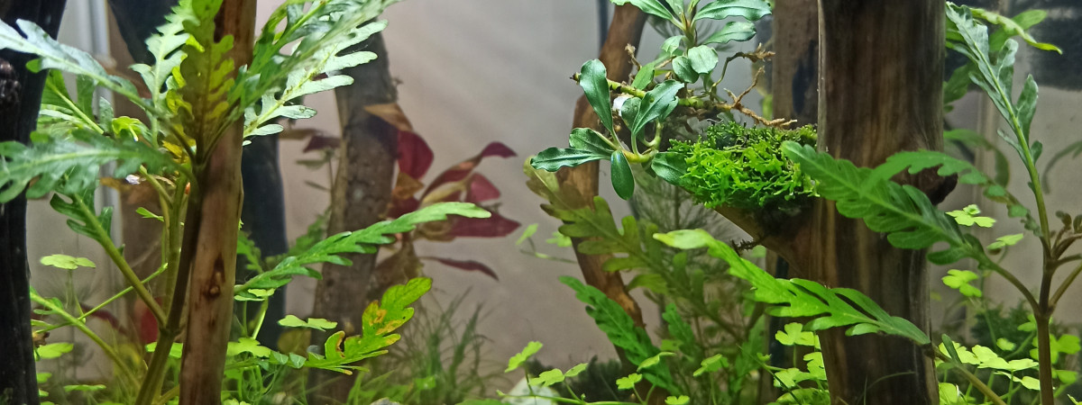 aquarium Landes