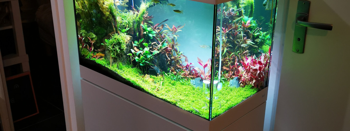 aquarium Oase Styline 125