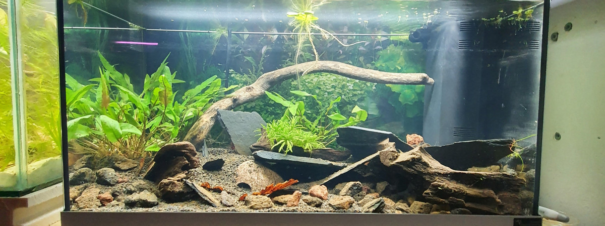 aquarium CPO