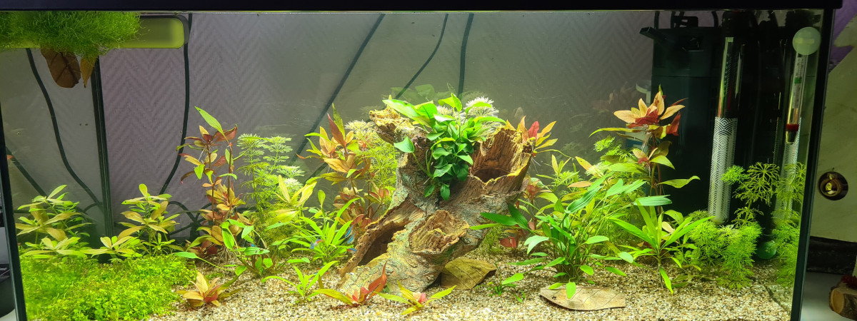 aquarium Stas