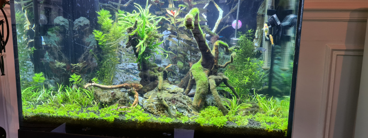 aquarium aquaHitch