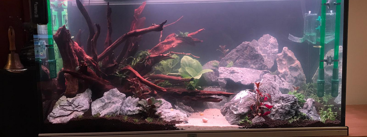 aquarium Bac 400
