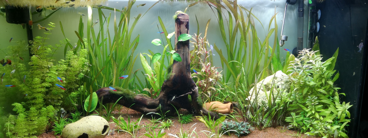 aquarium Aquarium 200 litre