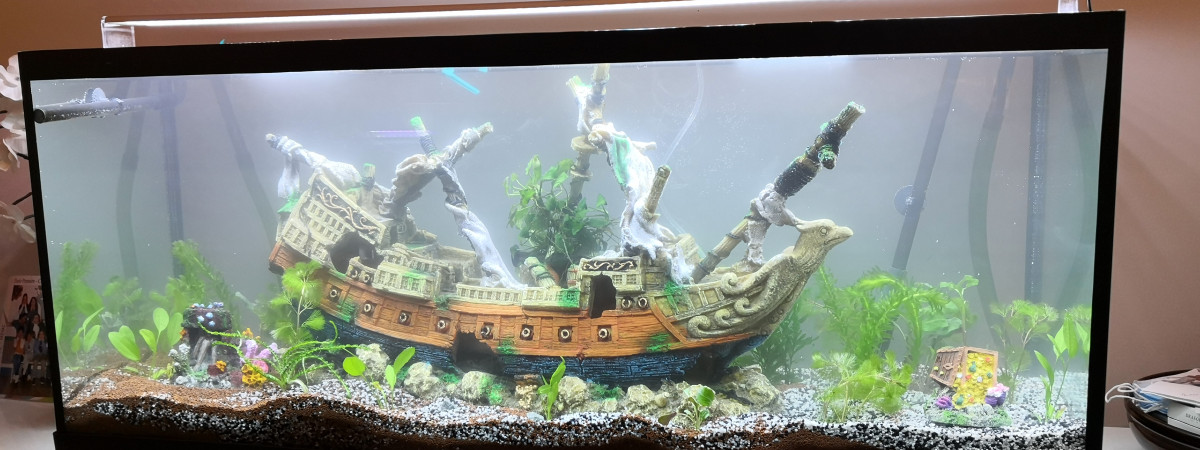 aquarium Marielle