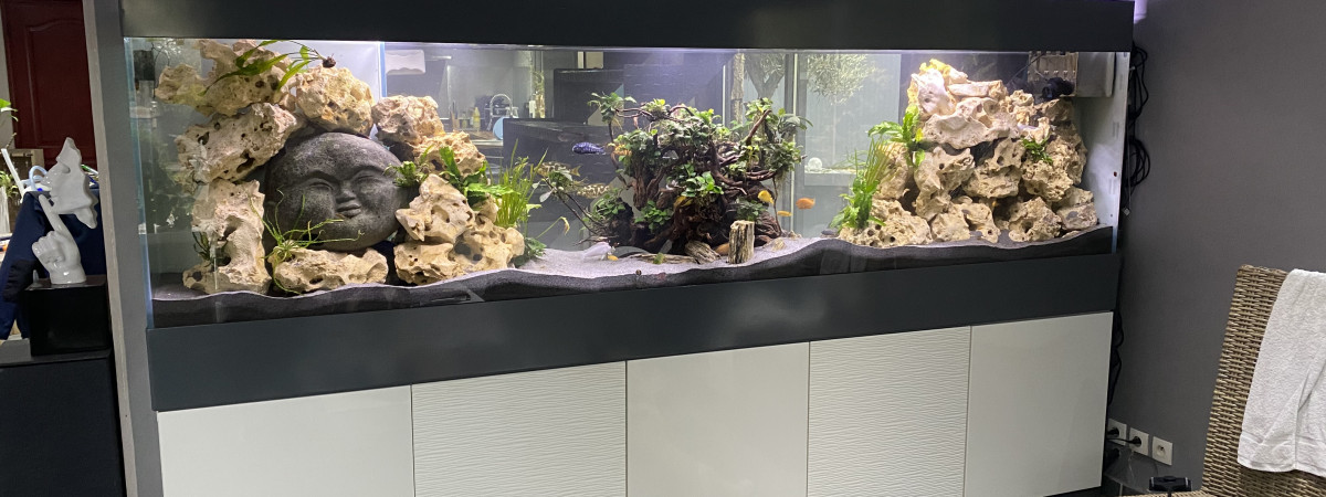 aquarium BESTA MALAWI 1500 Litres