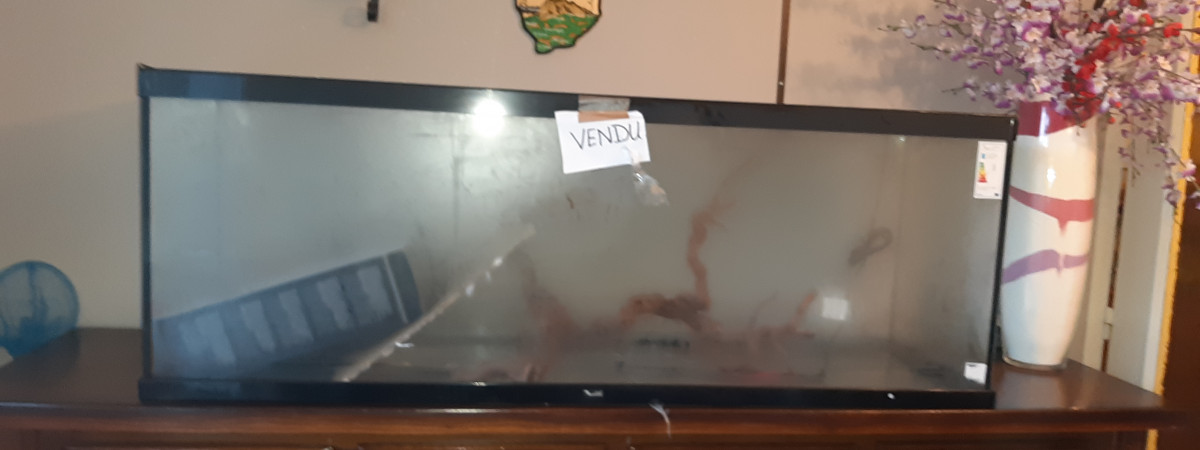 aquarium Nature