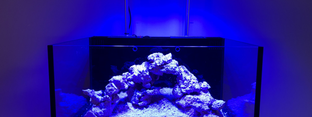 aquarium Innovative Marine Lagoon 25