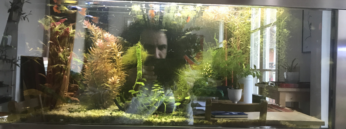 aquarium Tropicale