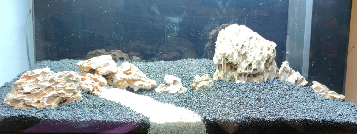 aquarium 1er aquascape