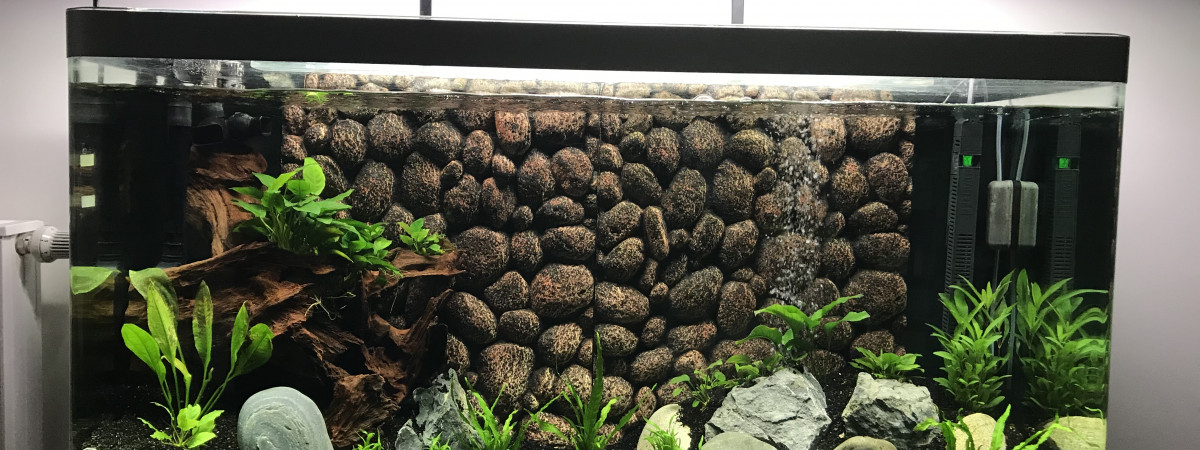 aquarium Osaka 320