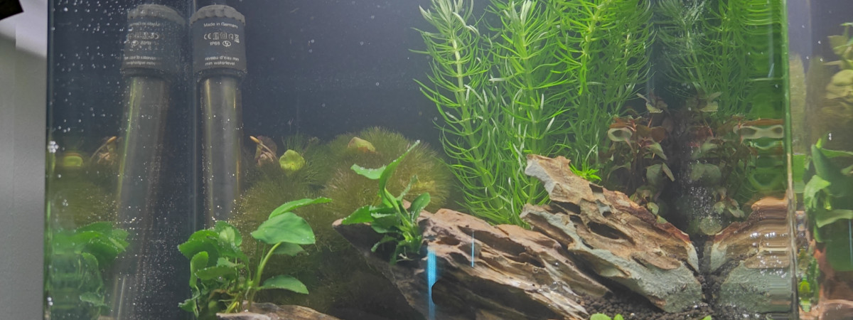 aquarium Nano1