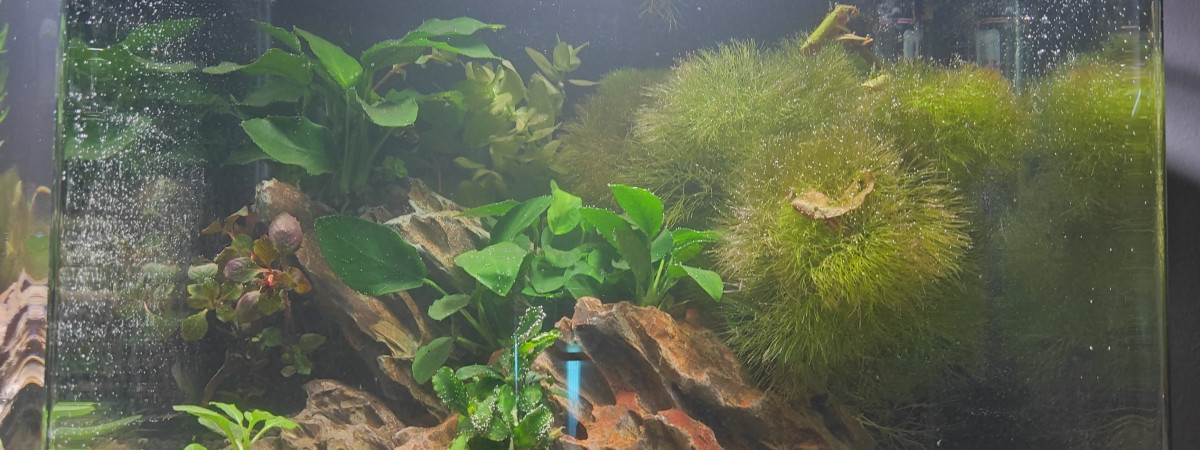 aquarium Nano2
