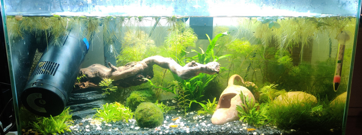 aquarium First 60l