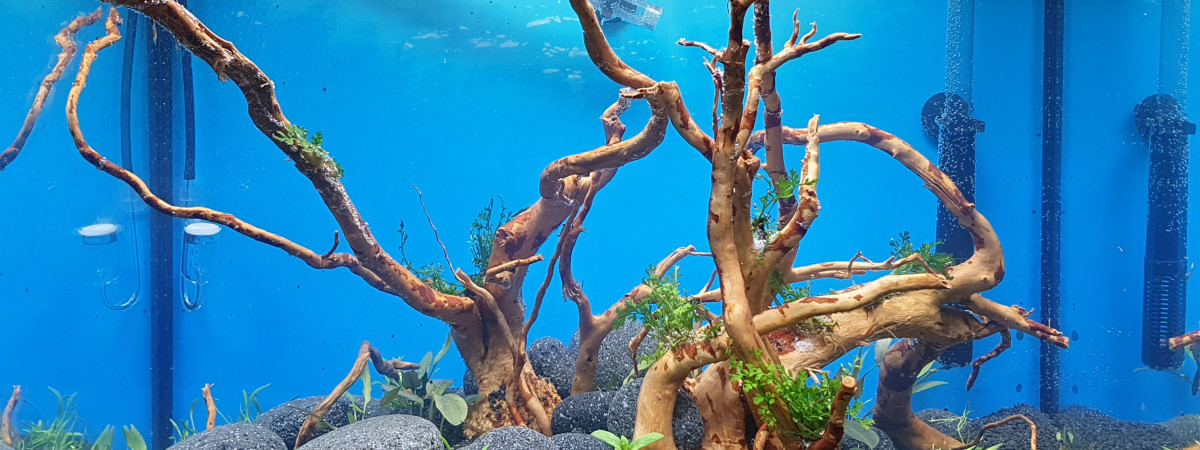 aquarium Lido 120