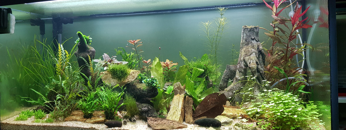 aquarium Aqua 400