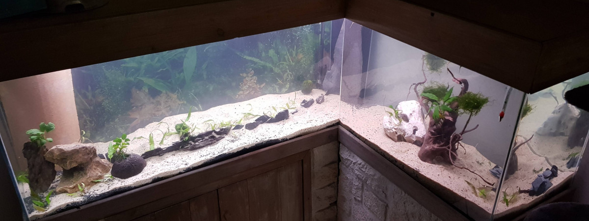 aquarium Aqua 440l en L