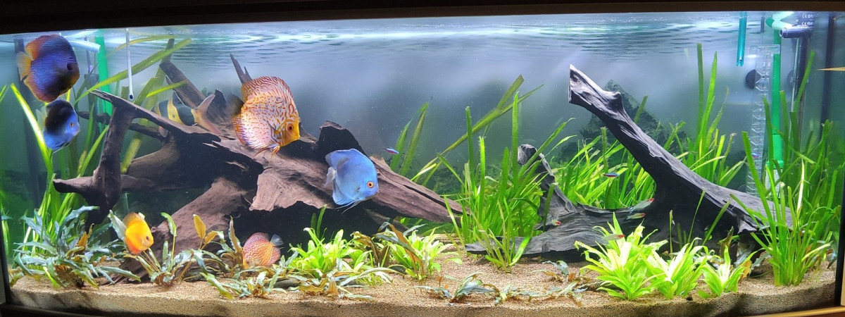 aquarium Aquatlantis