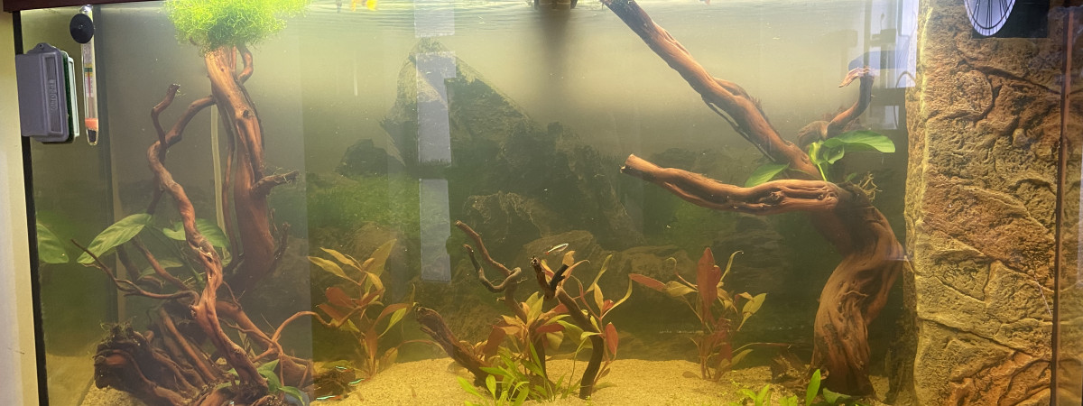 aquarium Juwel vision
