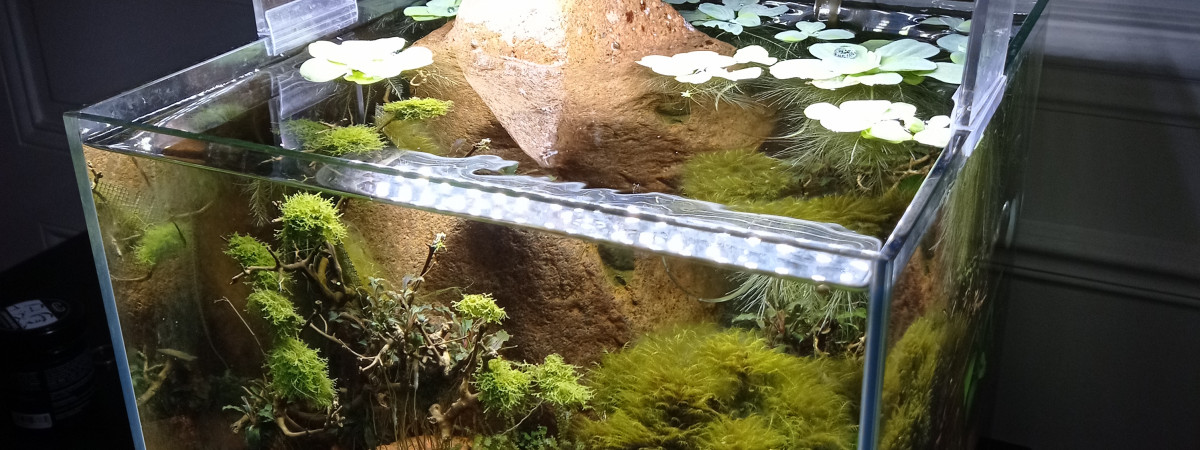 aquarium Nano Esterel