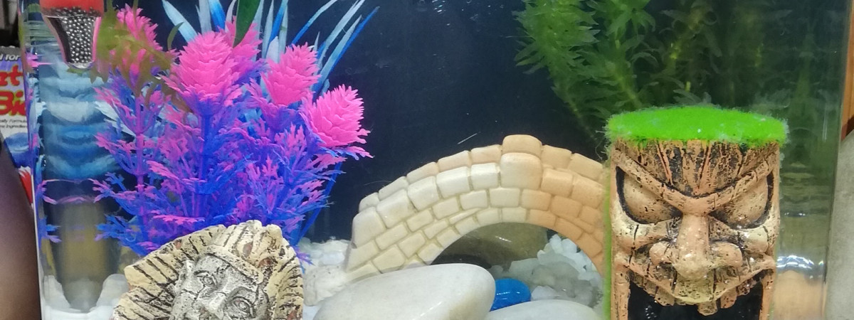 aquarium Riviere