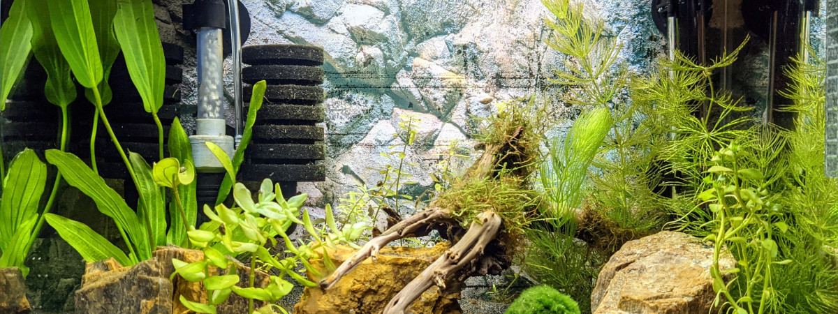 aquarium Bac 20 L