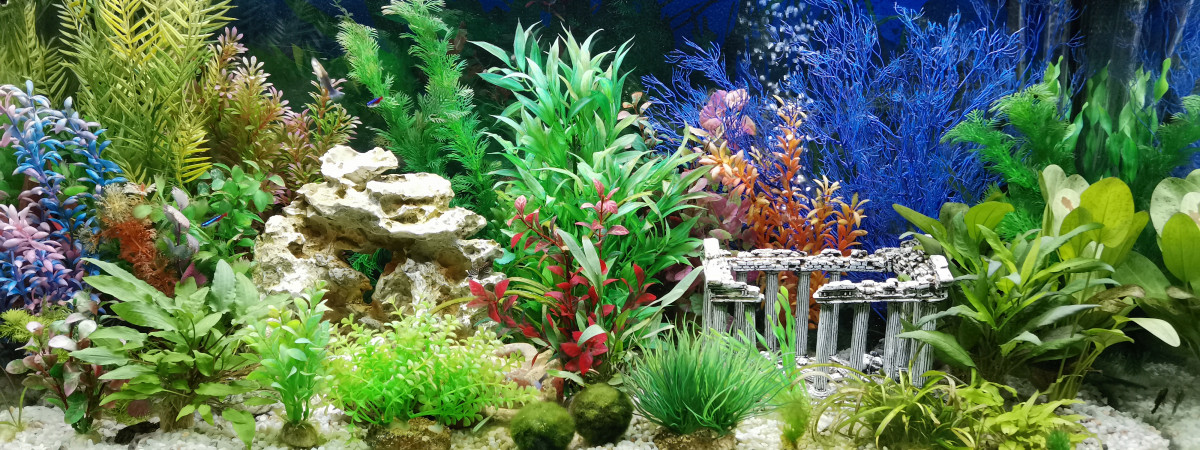 aquarium Ftc