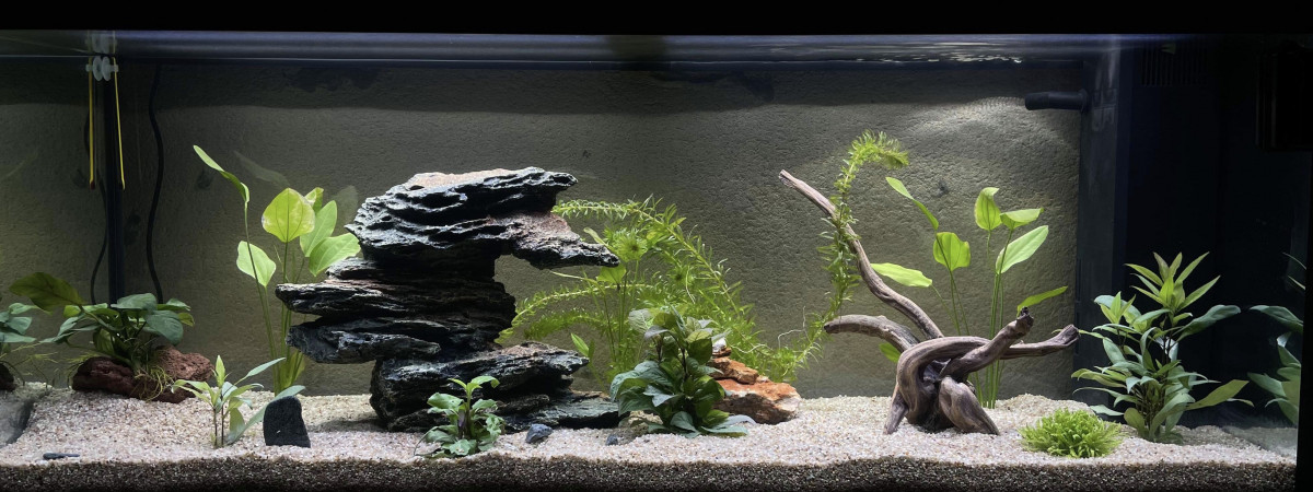 aquarium Aquarium