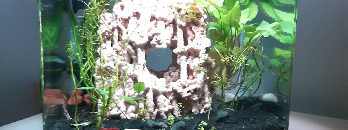 aquarium Aqua30L