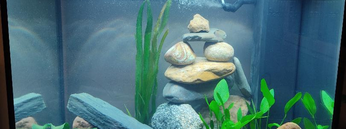 aquarium LIDO 200