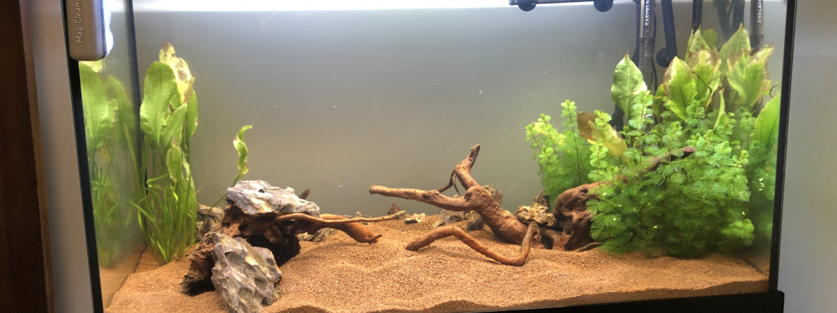 aquarium Aquarium 240