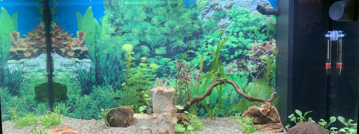 aquarium Rio