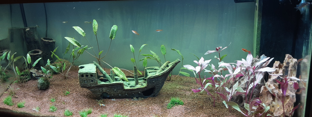 aquarium Juwel 180l