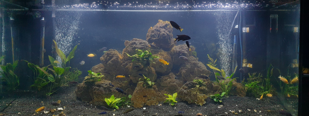 aquarium Principal 450L
