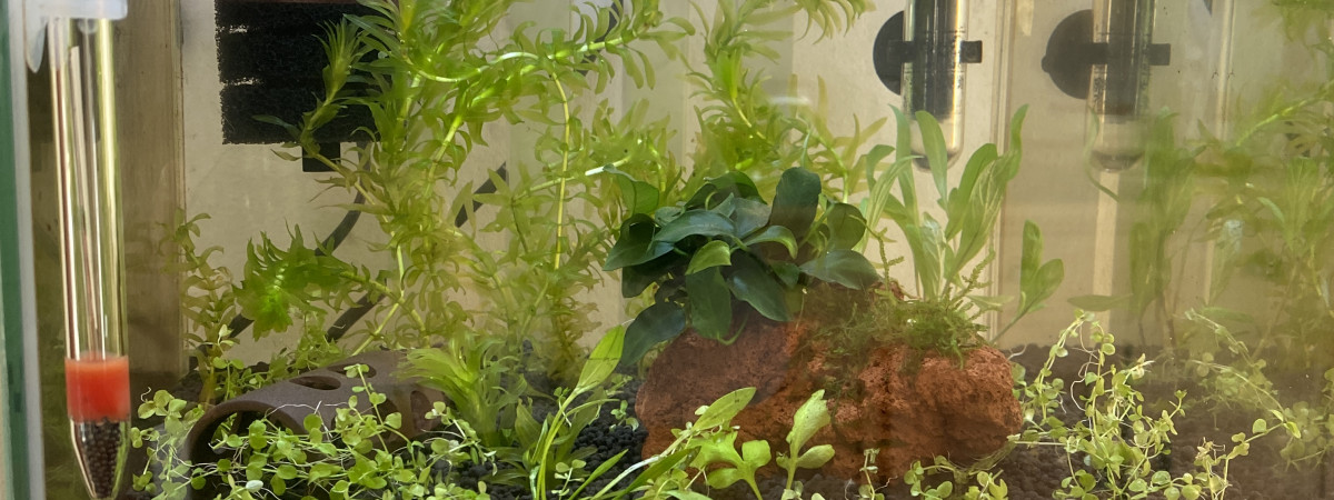 aquarium Nano 22L